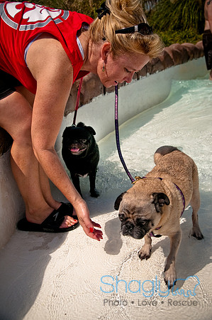 Wags and Waves-462