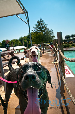 Wags and Waves-283