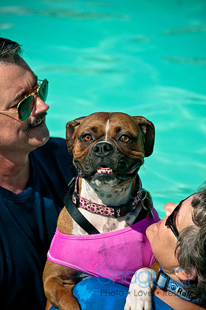 Wags and Waves-119