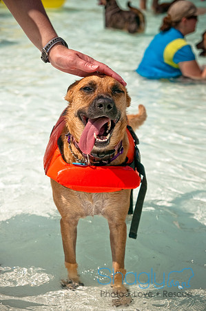 Wags and Waves-241