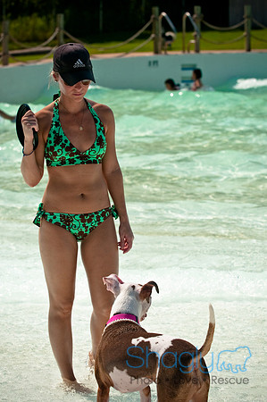 Wags and Waves-178