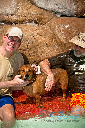 Wags and Waves-457