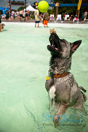 Wags and Waves-350