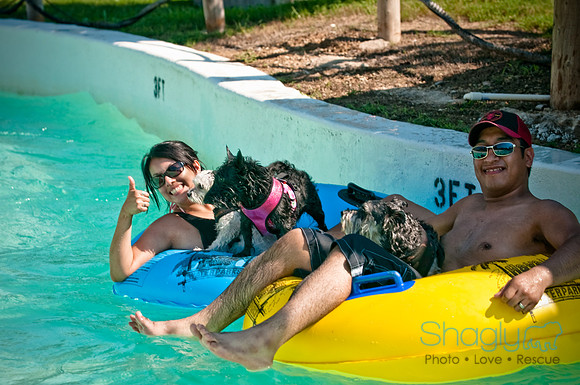 Wags and Waves-71