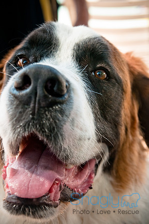 Wags and Waves-470