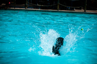 Wags & Waves-9