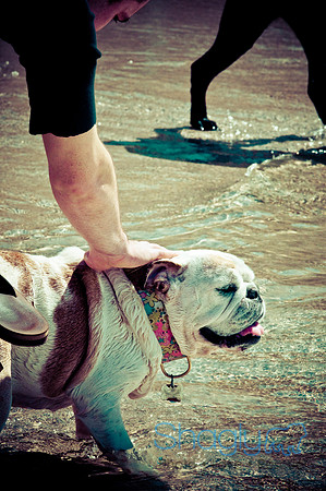 Wags & Waves-56