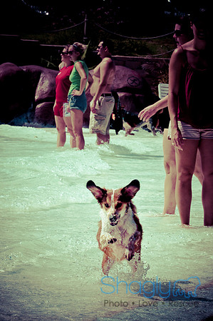 Wags & Waves-117