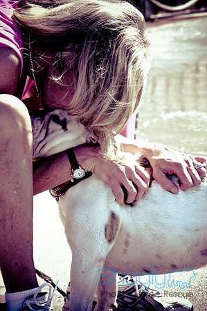 Wags & Waves-85