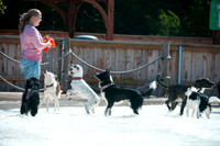 Wags & Waves-17