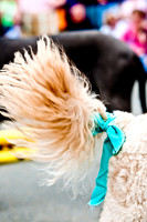 Turtle Creek Pet Parade-13
