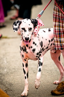 Turtle Creek Pet Parade