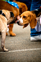 Turtle Creek Pet Parade-17