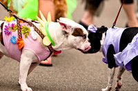 Turtle Creek Pet Parade-7