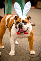 Turtle Creek Pet Parade-5