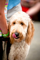 Turtle Creek Pet Parade-2