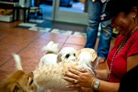 Mutt Mixer-13