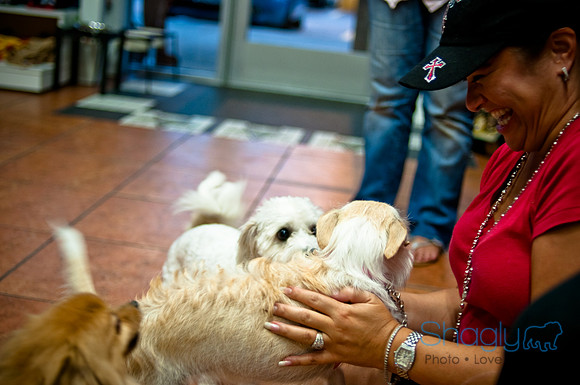 Mutt Mixer-13