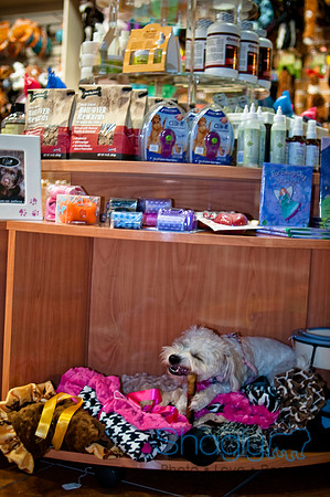 Mutt Mixer-61
