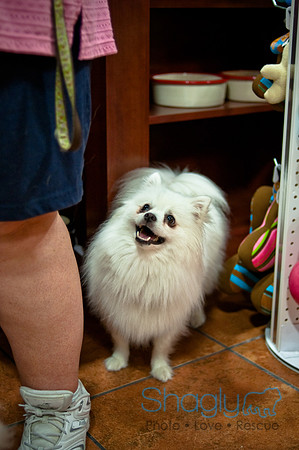 Mutt Mixer-38