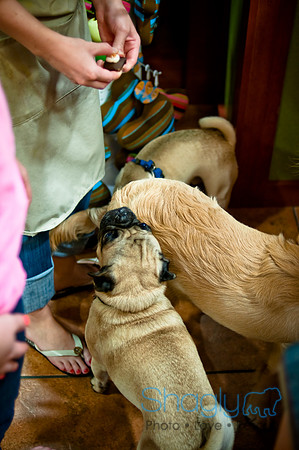 Mutt Mixer 08-24-2010-72