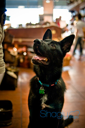 Mutt Mixer 08-24-2010-23