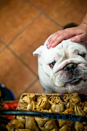 Mutt Mixer 08-24-2010-32
