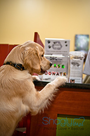 Mutt Mixer 08-24-2010-78