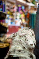 Mutt Mixer 08-24-2010-19
