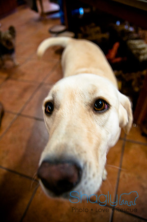 Mutt Mixer 08-24-2010-2