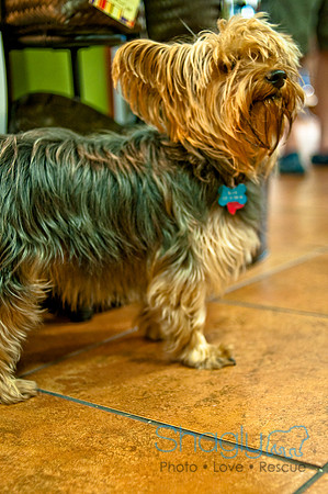 Mutt Mixer 08-24-2010-14