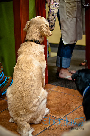 Mutt Mixer 08-24-2010-77