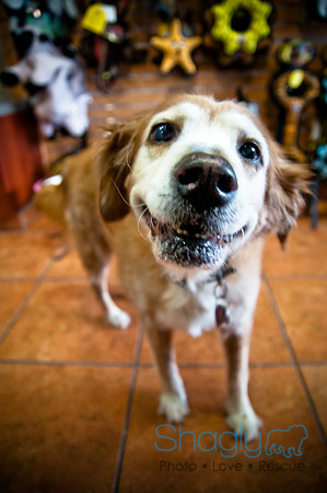 Mutt Mixer 08-24-2010-3