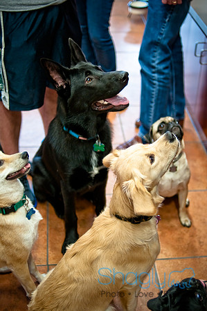 Mutt Mixer 08-24-2010-36
