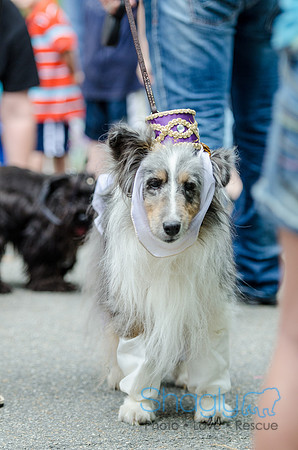 Turtle Creek Pet Parade 2012-99
