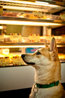 Mutt Mixer 08-24-2010-16