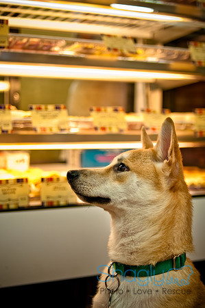Mutt Mixer 08-24-2010-16