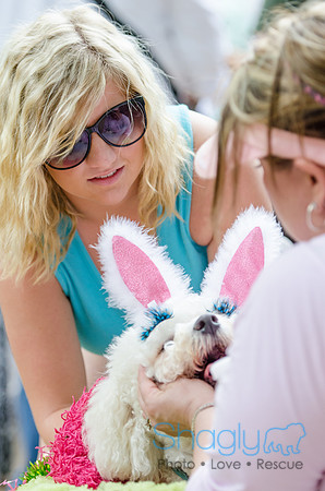 Turtle Creek Pet Parade 2012-92