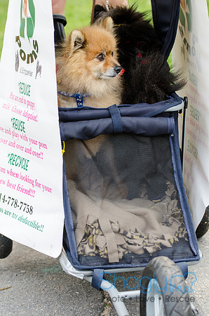 Turtle Creek Pet Parade 2012-77