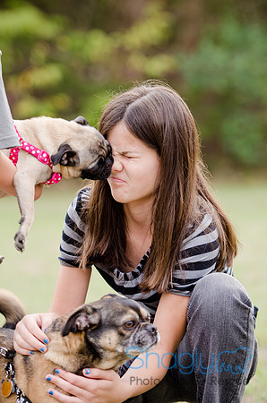 Susie, Rocky and Ddaisy-4