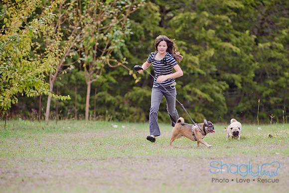 Susie, Rocky and Ddaisy-6