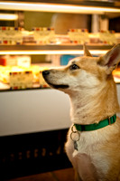 Mutt Mixer 08-24-2010-15
