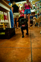 Mutt Mixer 08-24-2010-6