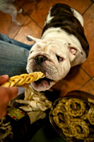 Mutt Mixer 08-24-2010-9