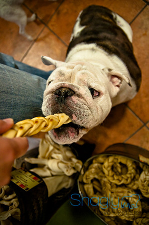 Mutt Mixer 08-24-2010-9