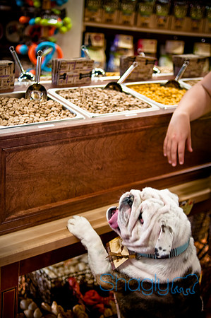 Mutt Mixer 08-24-2010-29