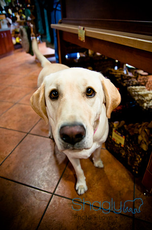 Mutt Mixer 08-24-2010-1