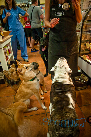 Mutt Mixer 08-24-2010-13