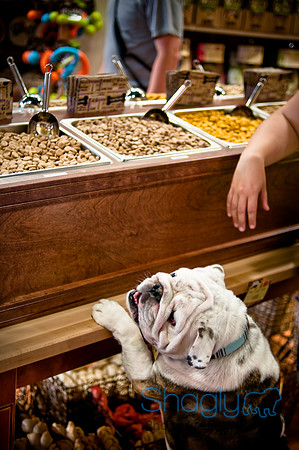 Mutt Mixer 08-24-2010-28