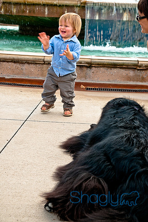 The Therapy Dogs-60